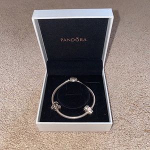 Pandora Charm Bracelet